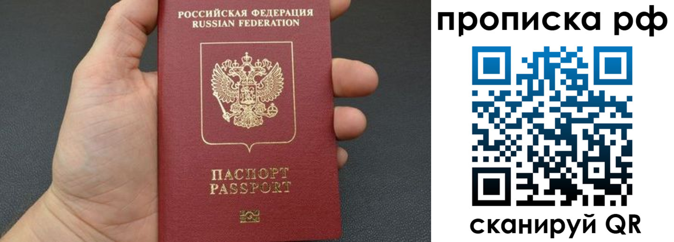 прописка штамп в Пионерском